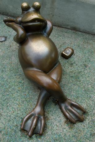 46. Frogs of Tadpole Playground - 2